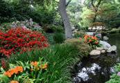 Pond Systems